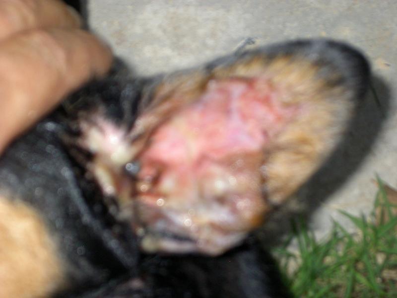 post-209671-0-49554500-1433589407_thumb.