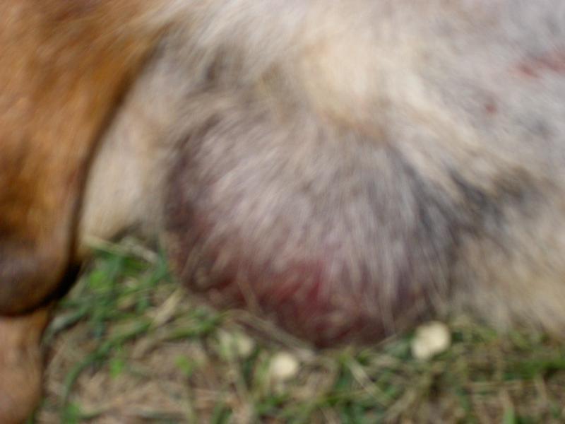 post-209671-0-77462500-1433589607_thumb.