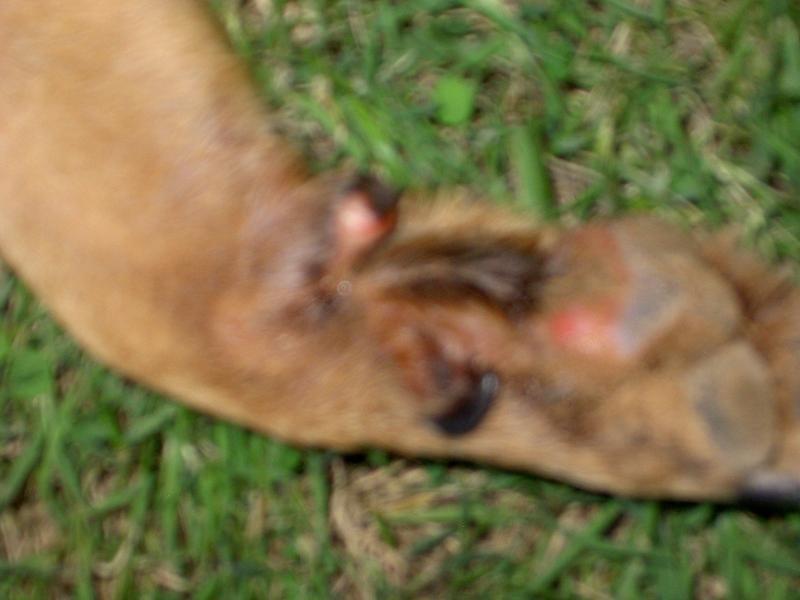 post-209671-0-97454400-1433589483_thumb.