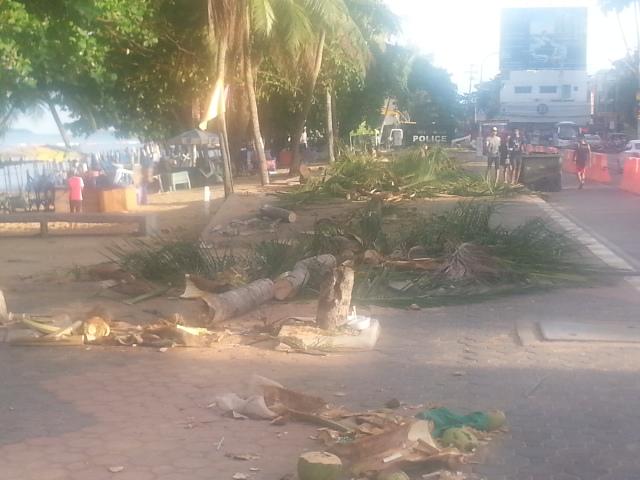 post-2109-0-20781300-1433851019_thumb.jp