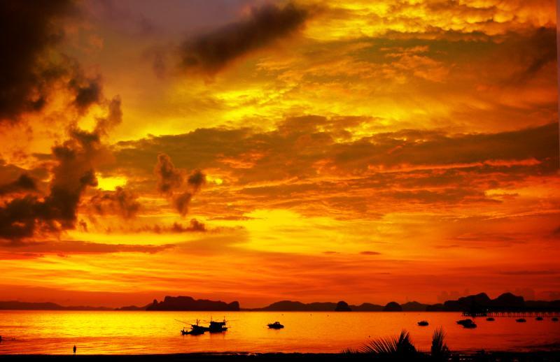 post-228573-0-01232200-1435673956_thumb.