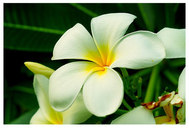 post-228573-0-29508300-1435481661_thumb.