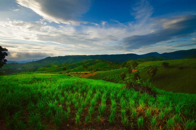 post-228573-0-52042700-1433591859_thumb.