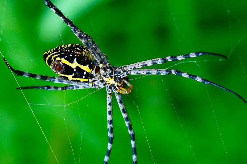 post-228573-0-78441600-1433596712_thumb.