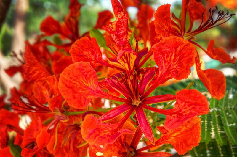 post-228573-0-79025800-1434936512_thumb.