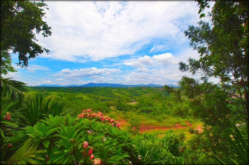 post-228573-0-82341000-1435557296_thumb.