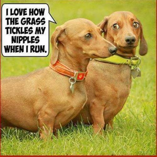 post-22920-0-05270100-1433664882_thumb.j