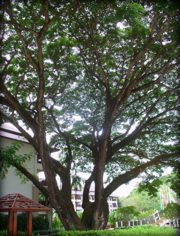 post-231841-0-10182100-1435317730_thumb.