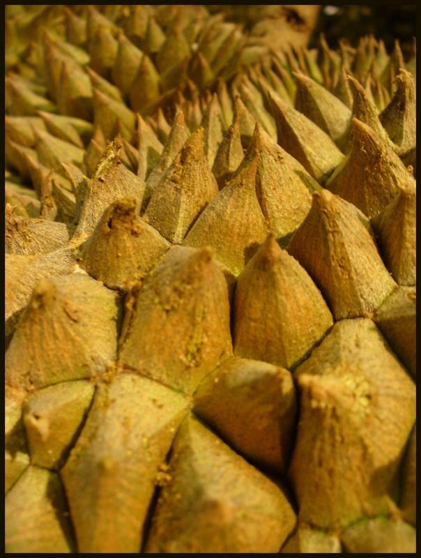 post-231841-0-56579600-1435156696_thumb.