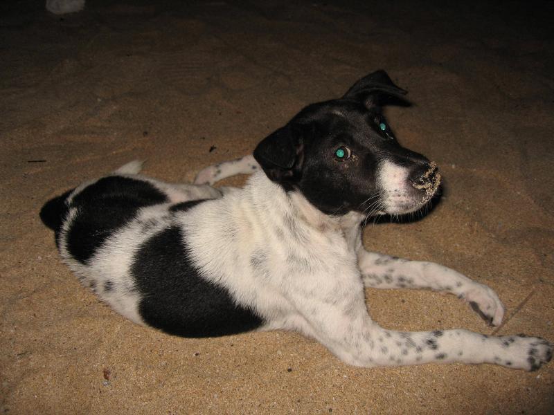 post-231841-0-61646200-1433162832_thumb.