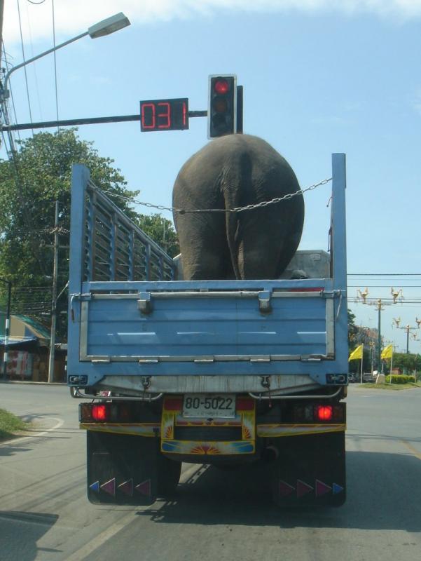 post-233904-0-02297000-1433313797_thumb.