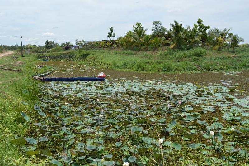 post-237730-0-01131500-1433412256_thumb.