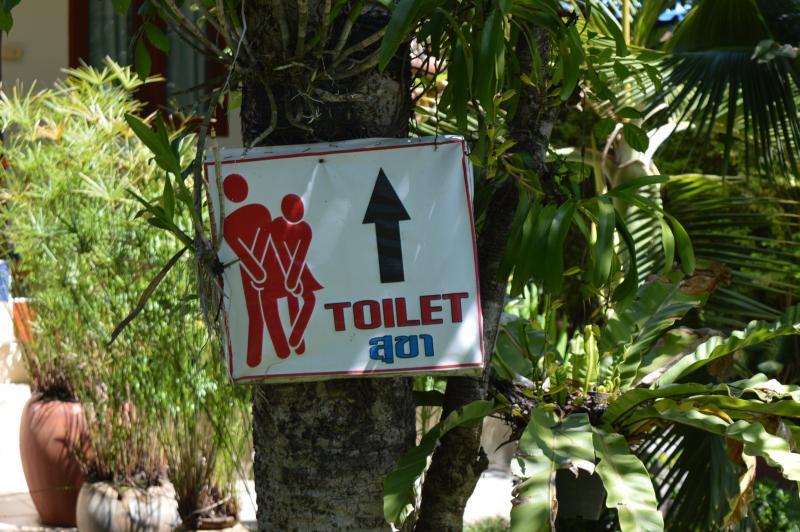 post-237730-0-01343600-1435118149_thumb.