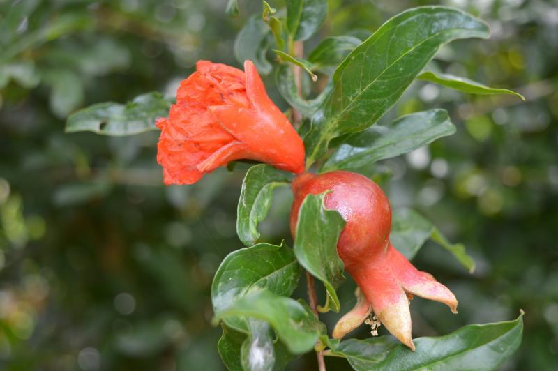 post-237730-0-02795100-1433406732_thumb.