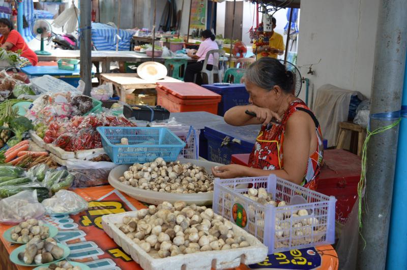 post-237730-0-02858500-1433843737_thumb.