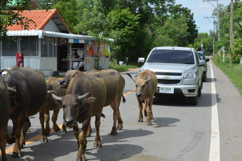 post-237730-0-08280100-1434542866_thumb.