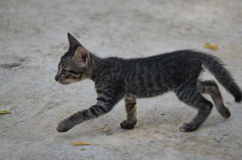 post-237730-0-08776300-1434334690_thumb.