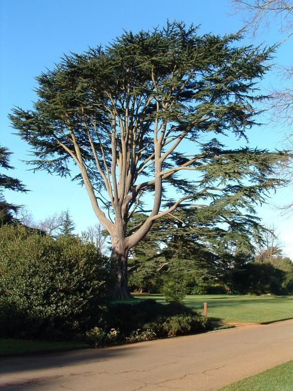 post-237730-0-09409500-1433585641_thumb.