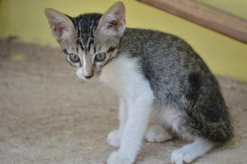 post-237730-0-13748800-1434334726_thumb.