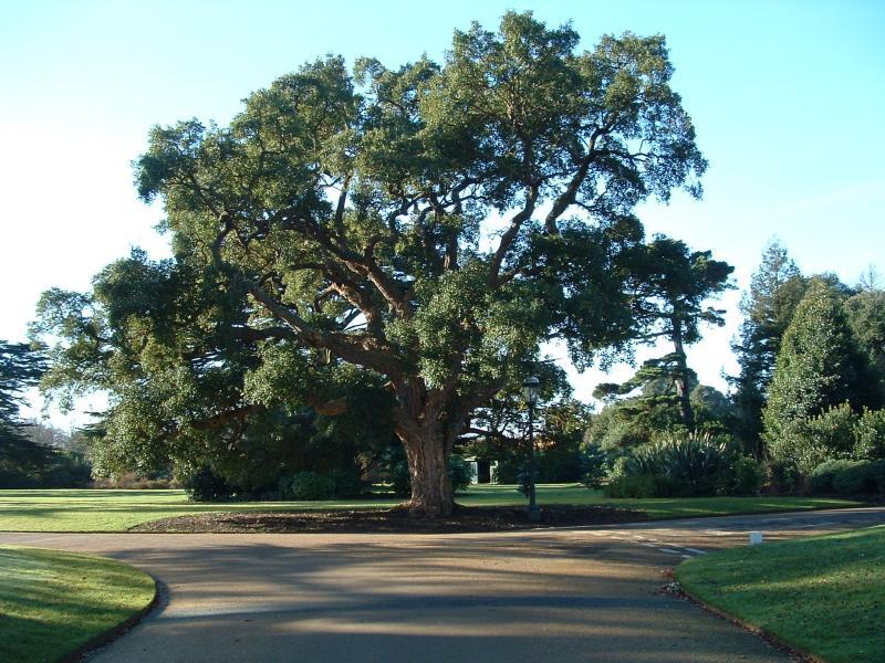 post-237730-0-18401100-1433585565_thumb.