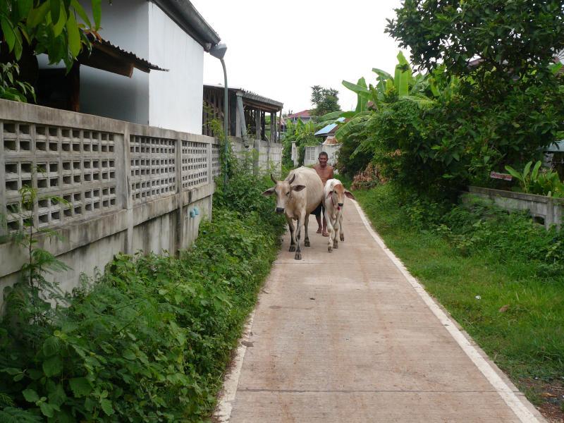 post-237730-0-19871100-1434091688_thumb.