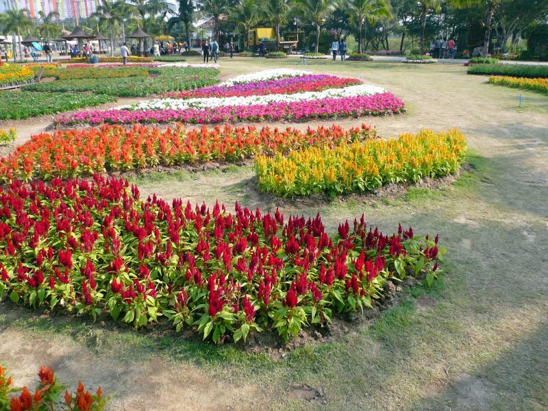 post-237730-0-20167900-1435365224_thumb.