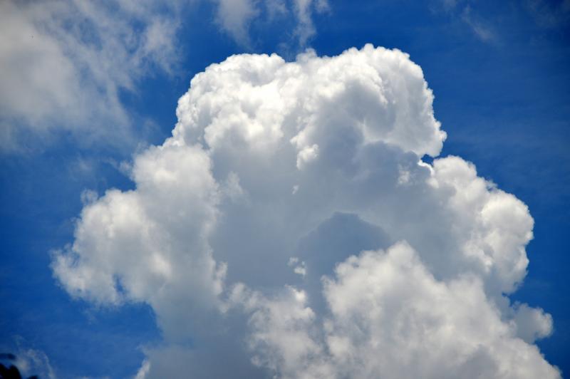 post-237730-0-21176200-1435303980_thumb.