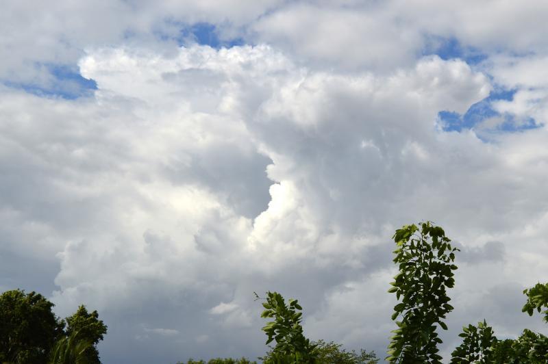 post-237730-0-23207100-1435563954_thumb.