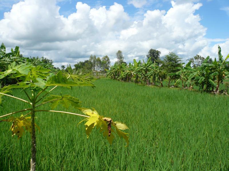 post-237730-0-24413700-1433584160_thumb.