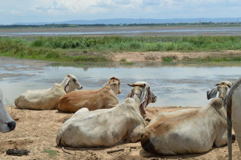 post-237730-0-25248000-1434611861_thumb.