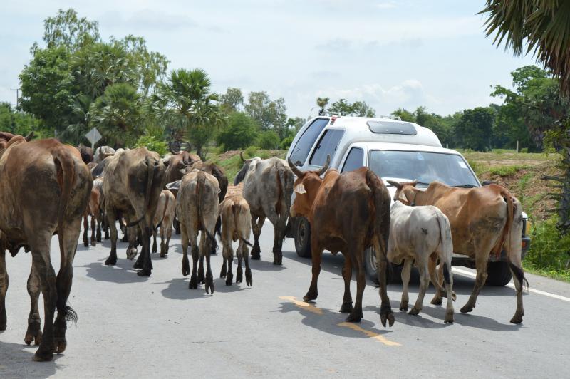 post-237730-0-28758700-1434542925_thumb.