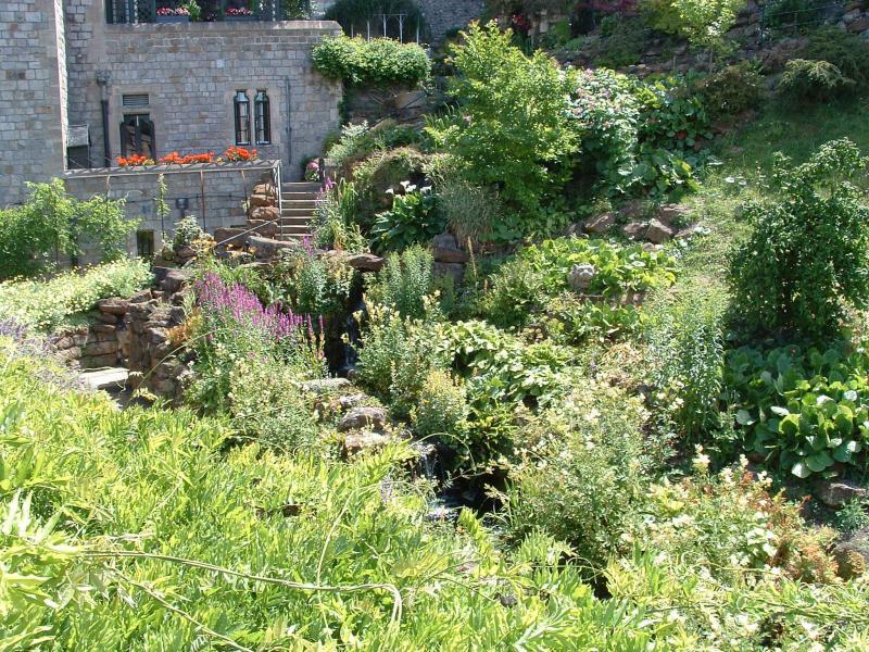 post-237730-0-29227400-1433166595_thumb.