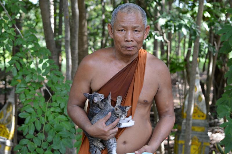 post-237730-0-32604900-1434333799_thumb.