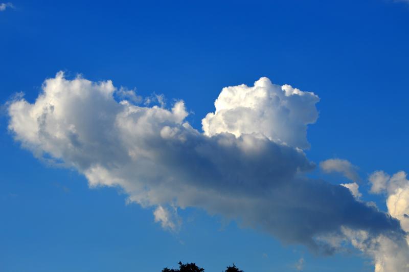 post-237730-0-35562700-1434697338_thumb.