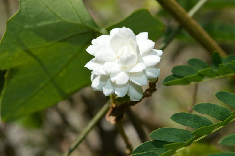 post-237730-0-37907200-1434189915_thumb.