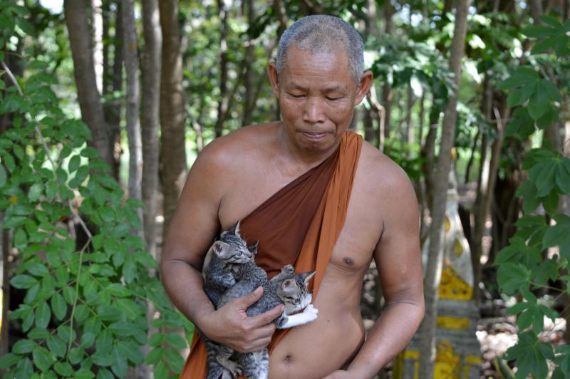 post-237730-0-39434800-1434348612_thumb.