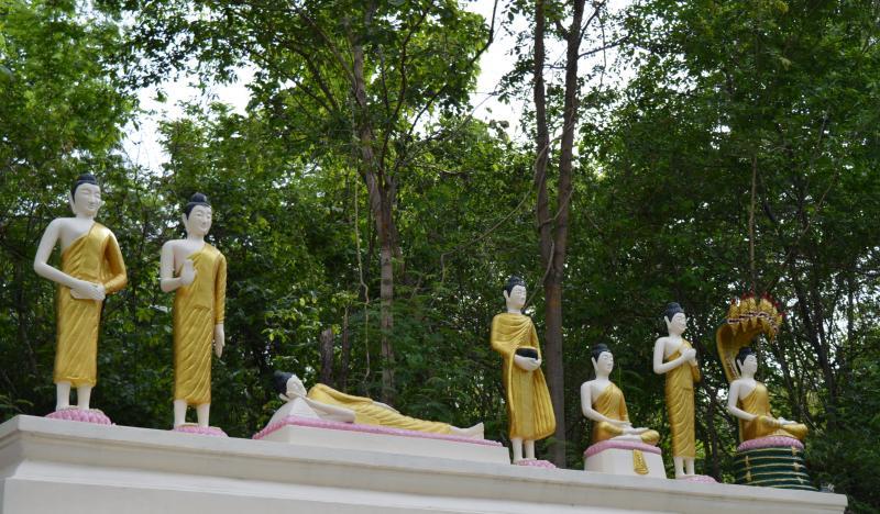 post-237730-0-42766500-1434953062_thumb.