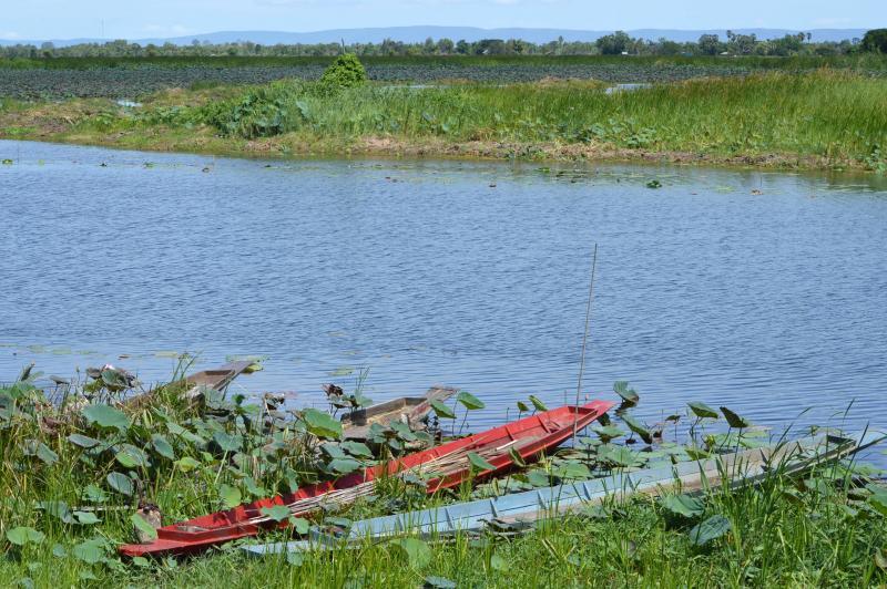 post-237730-0-43046100-1435564731_thumb.