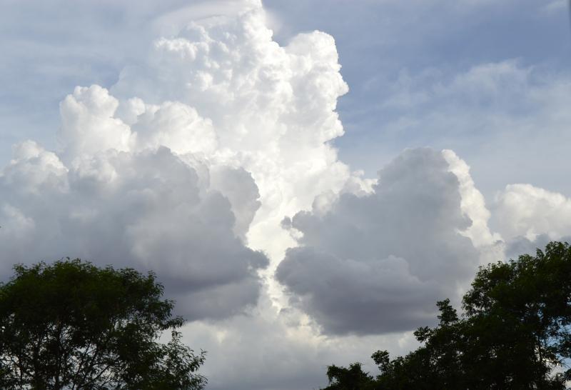 post-237730-0-43361900-1435457384_thumb.