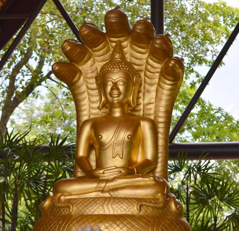 post-237730-0-47057700-1434860724_thumb.