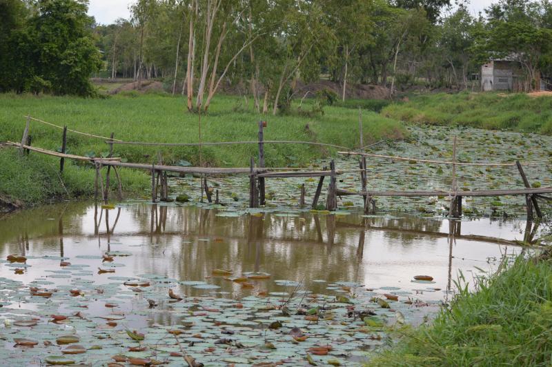 post-237730-0-48196900-1434541029_thumb.