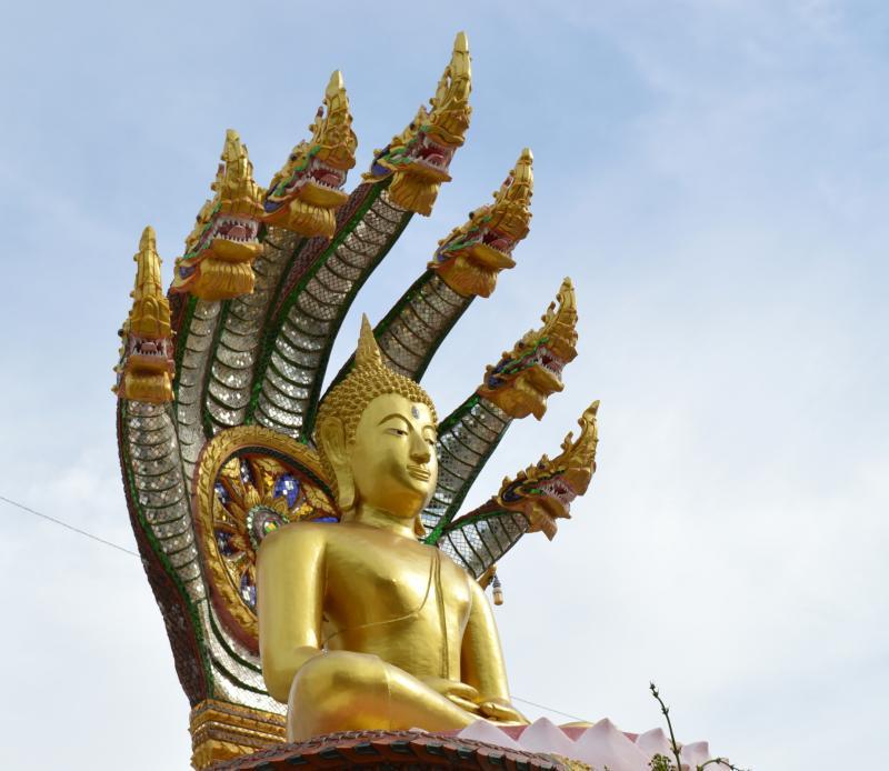 post-237730-0-49946500-1435117254_thumb.