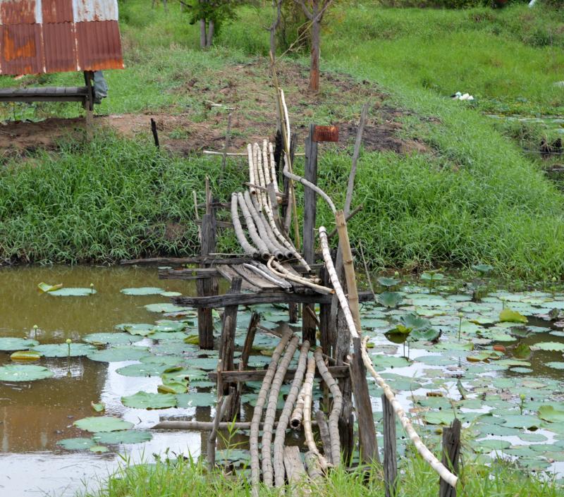 post-237730-0-51463400-1434541070_thumb.