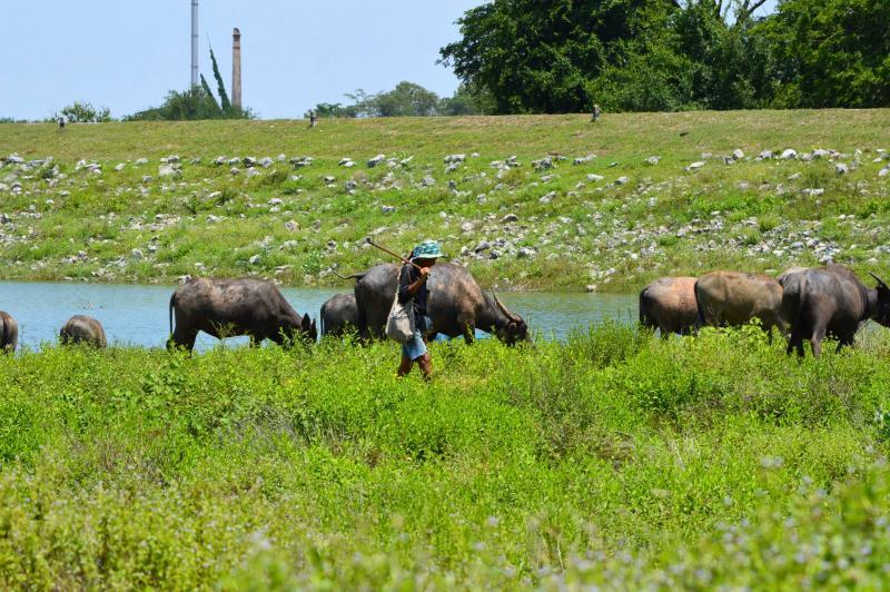 post-237730-0-53060400-1434189298_thumb.