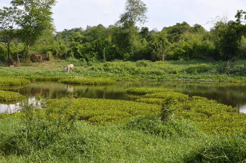 post-237730-0-53893900-1434347835_thumb.