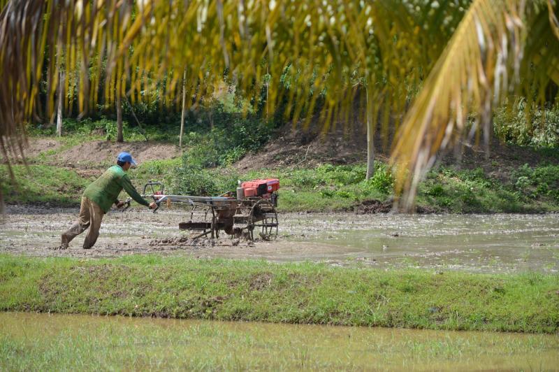 post-237730-0-56775000-1434534796_thumb.