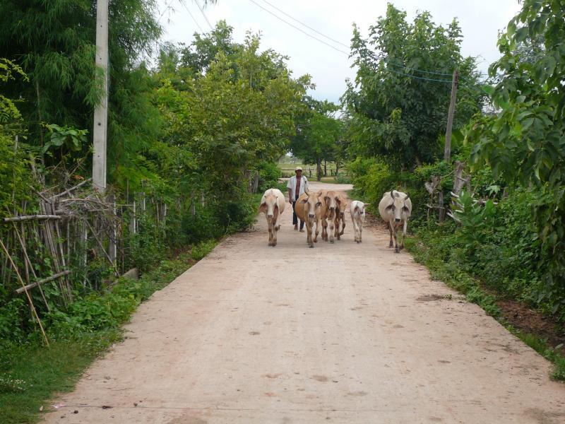 post-237730-0-60894200-1434091628_thumb.