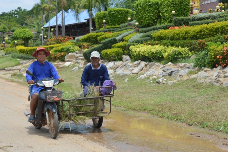 post-237730-0-62475500-1433324012_thumb.