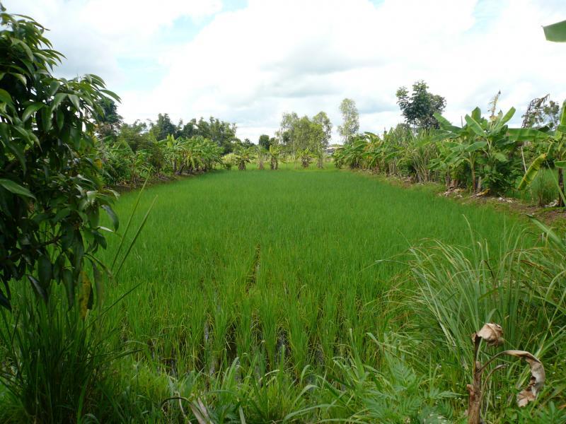 post-237730-0-63582800-1434448042_thumb.