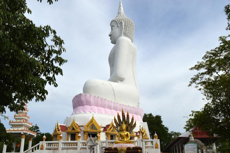 post-237730-0-68862100-1434864281_thumb.